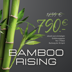 Visual mit Bambus und der Aufschrift "BAMBOO RISING – aktuell zum Spezialpreis von 790 € statt 1.299 €, nur 5 Plätze bis 30. April buchbar"