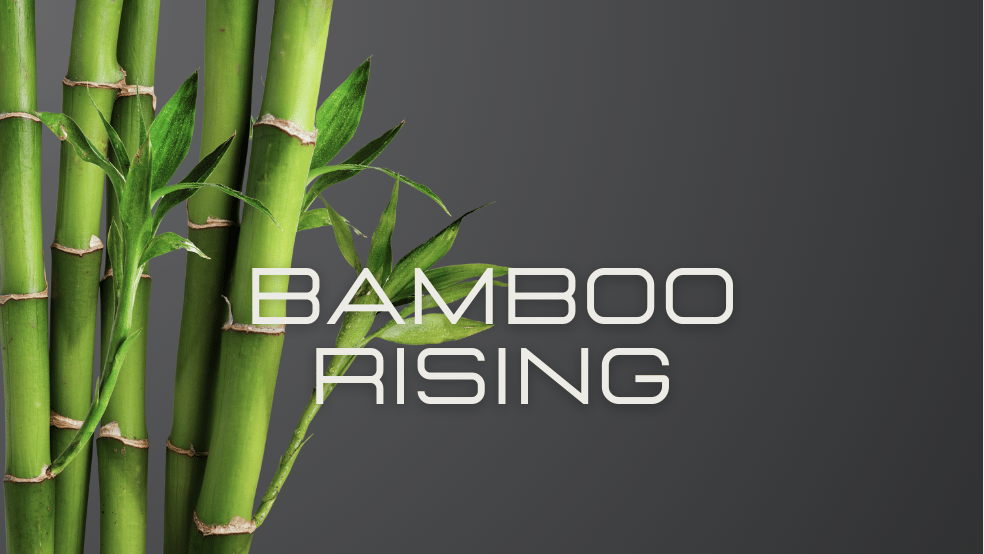 Bambus mit dem Schriftzug „BAMBOO RISING“ – Symbol für nachhaltigen Businessaufbau mit Tiefe, Klarheit und Haltung